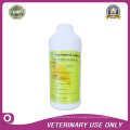 Medicamentos Veterinários de Vitamina B Complexo Solução Oral